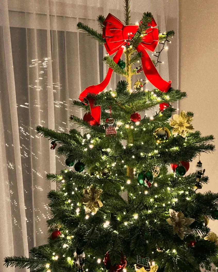 Tohtoročný vianočný stromček je u nich doma živý a tradičný. Zdroj: Instagram/<a href="https://www.instagram.com/p/DDIbLaOOB1U/">ivanabezdeda</a>