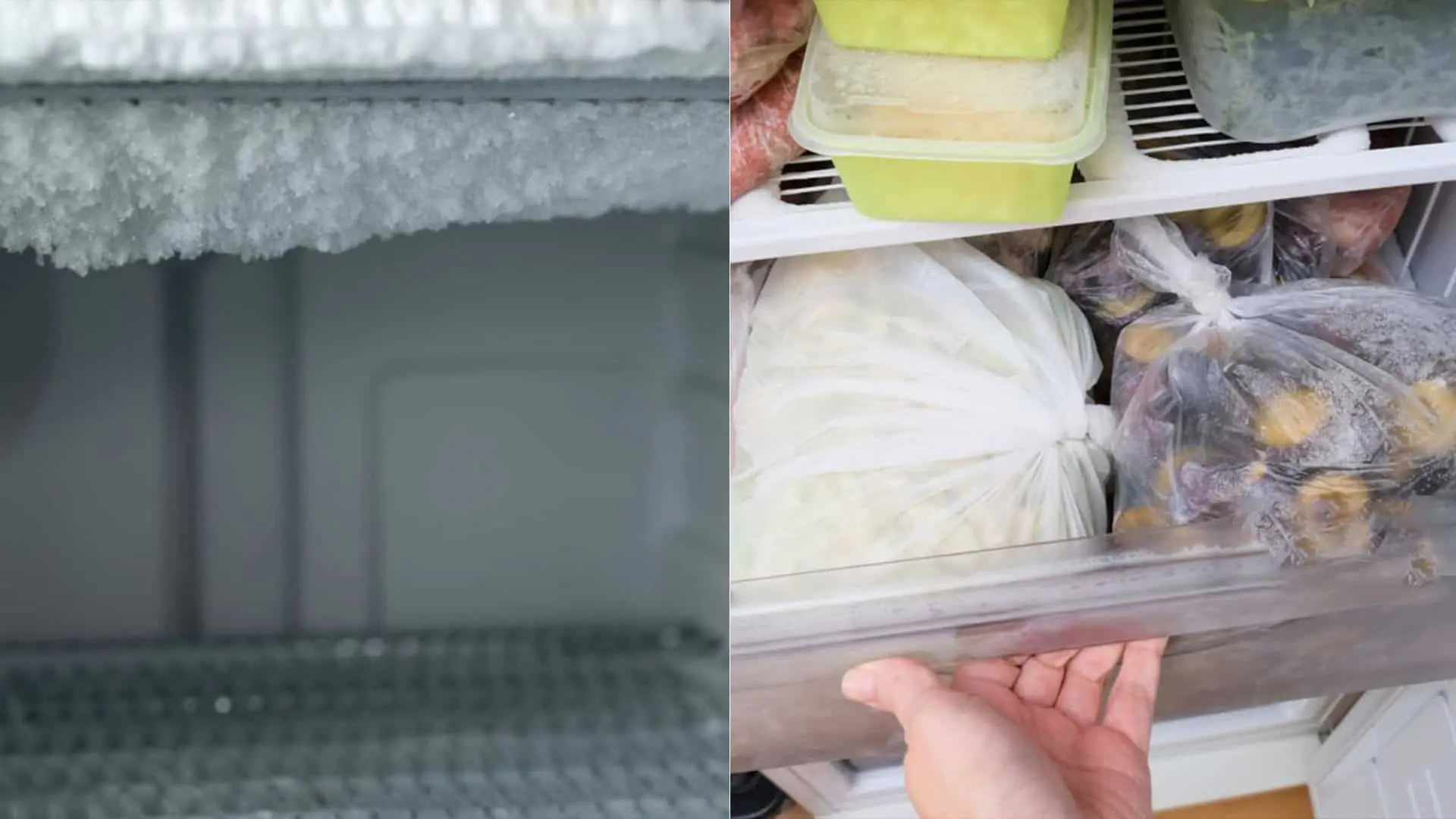 chladnička námraza