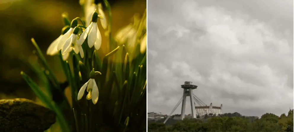 počasie, teplo, predpoveď