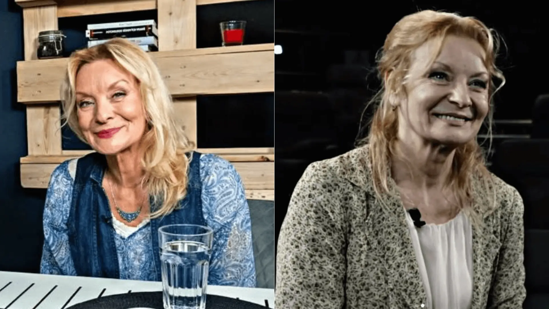 Vilma Cibulková, alkohol