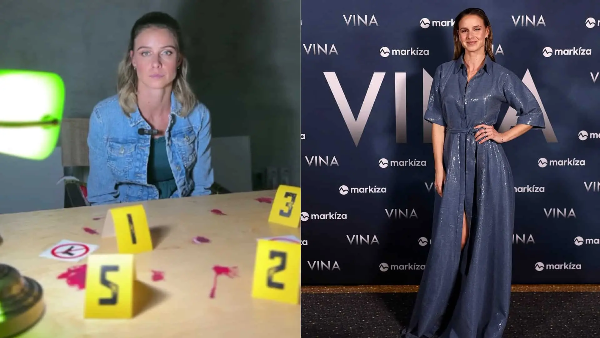 Nela Pocisková, seriál Vina