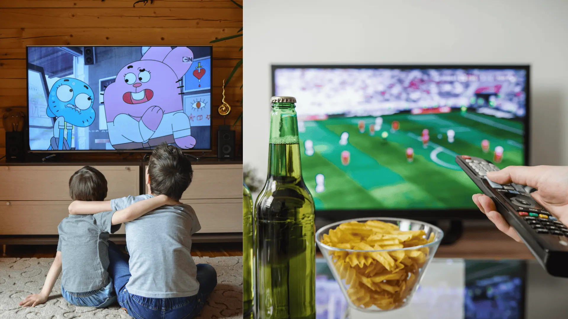 televízia, televízor