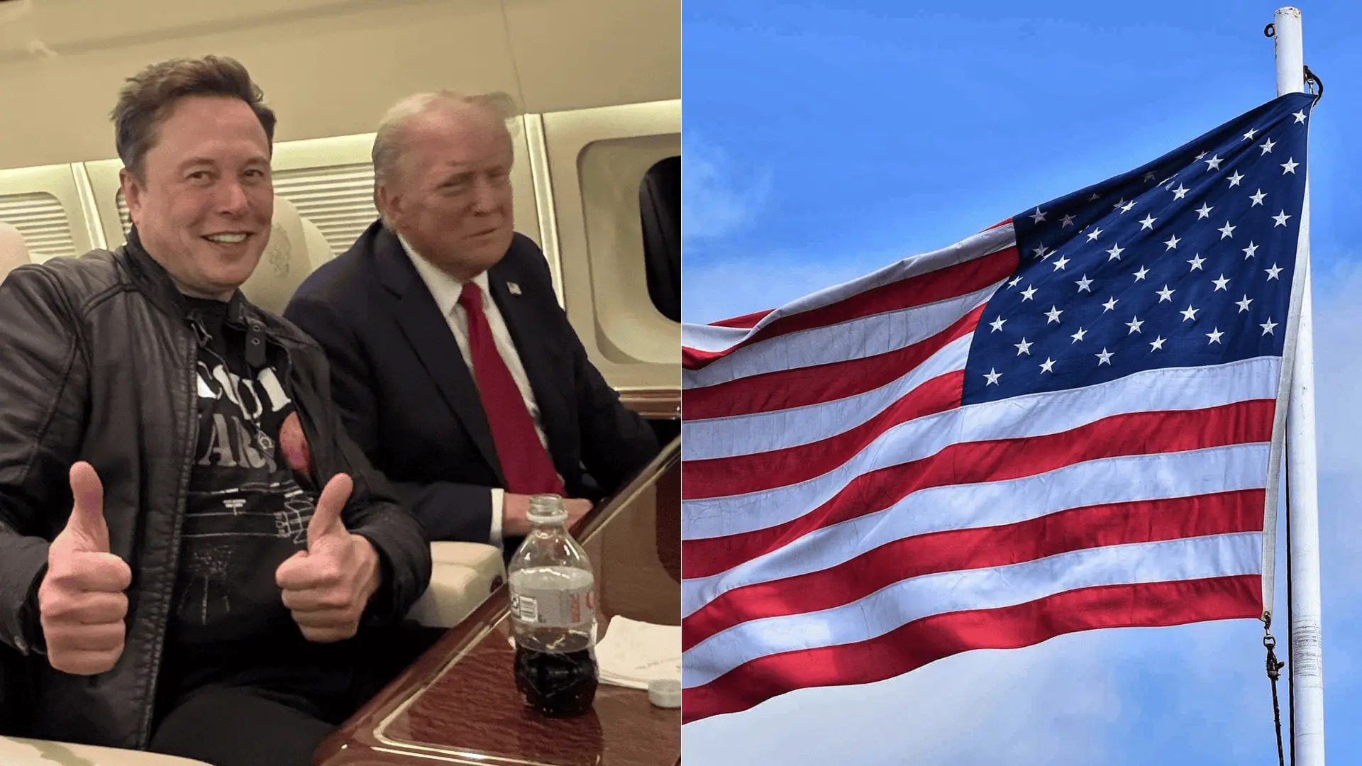 elon musk usa donald trump