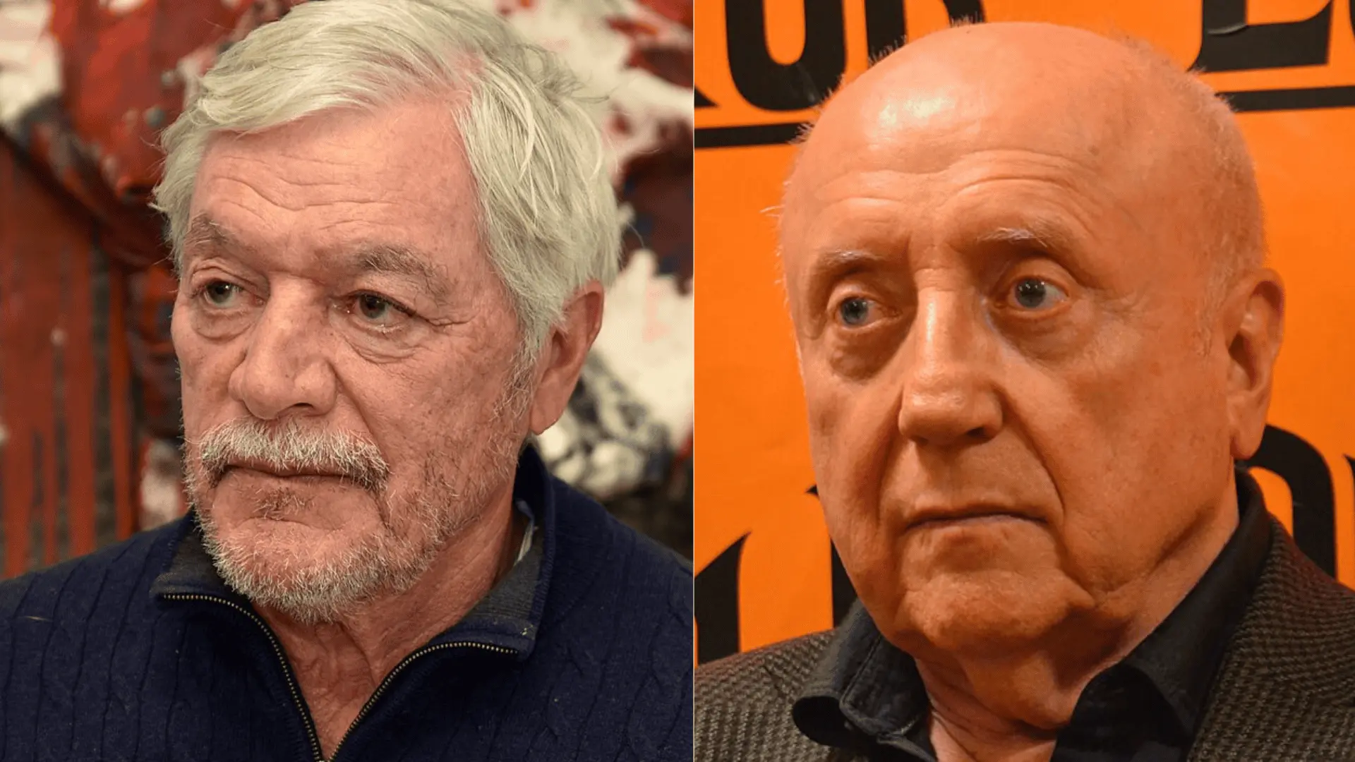 kukura, slováček, priatelia