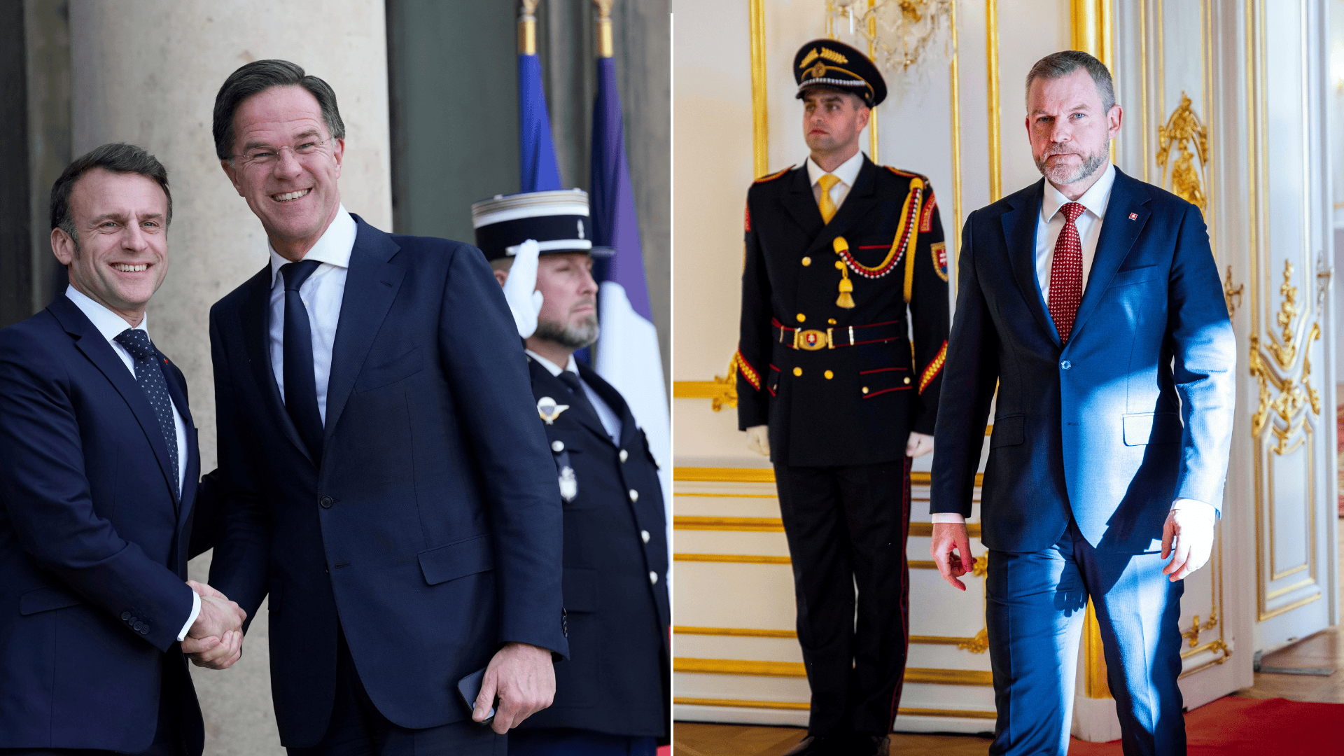Rutte Pellegrini