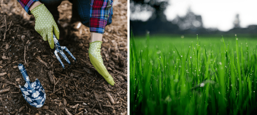 tráva, trávnik, záhrada, hrabanie