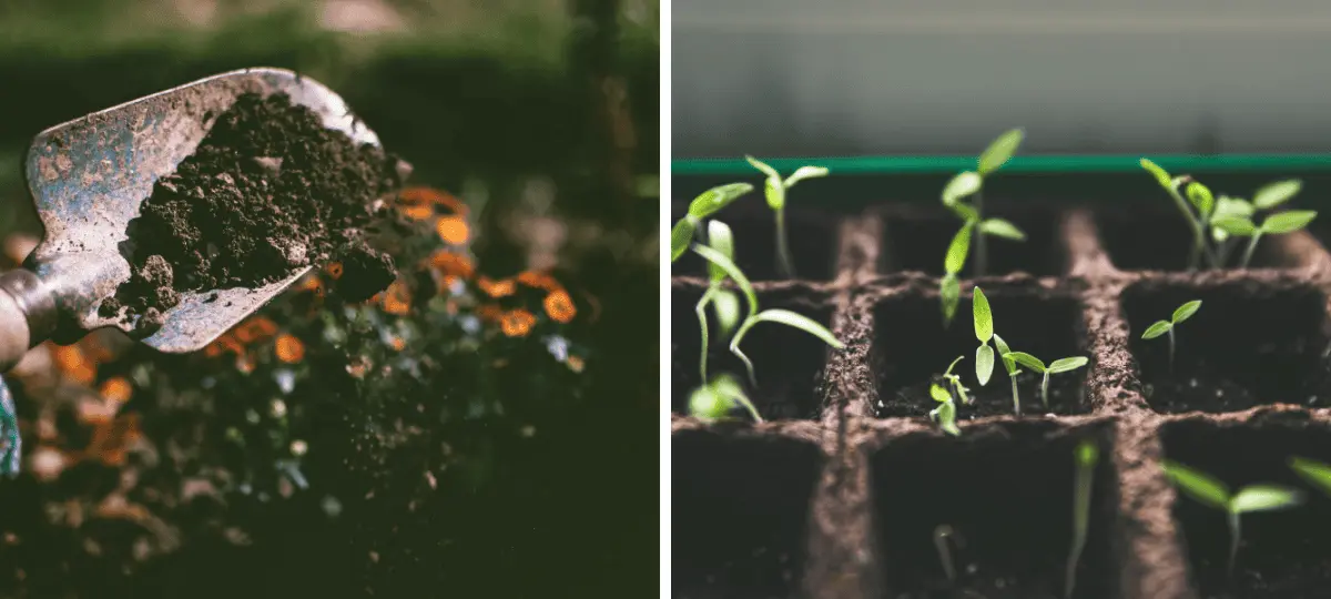 semená, záhrada, záhradkári