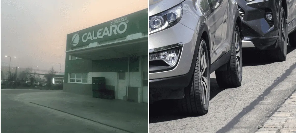 calearo
