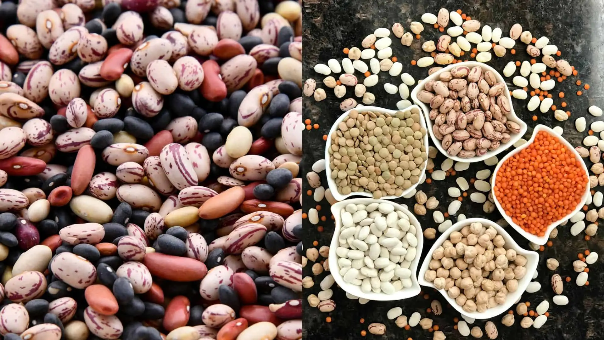 Šošovica jedlá (Lens culinaris) patrí medzi výživovo najhodnotnejšie strukoviny a jej pestovanie je možné aj v našich podmienkach