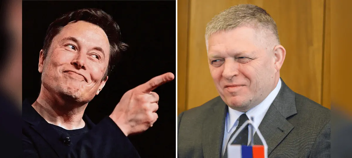 fico musk