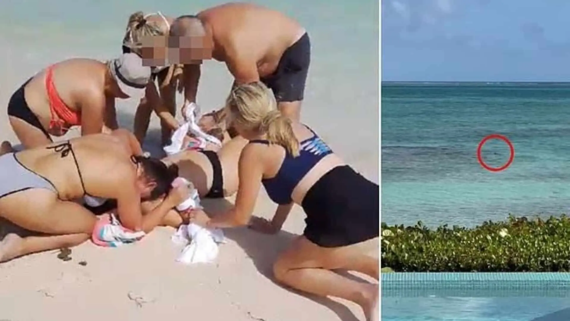 Na turistku surovo zaútočil žralok.