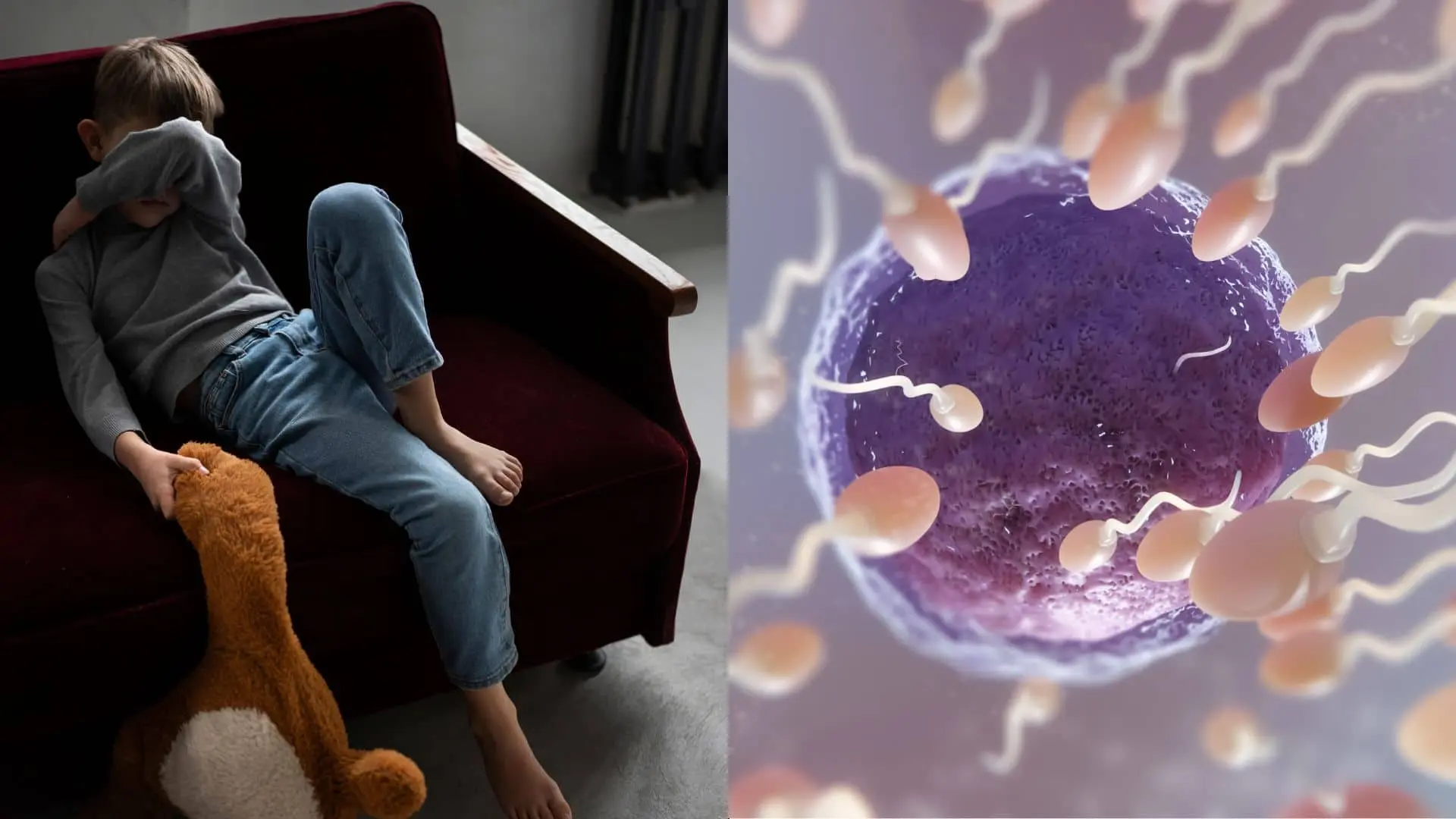 Vplyv traumy na spermie