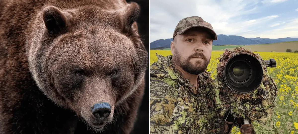 tomáš, medveď, útok