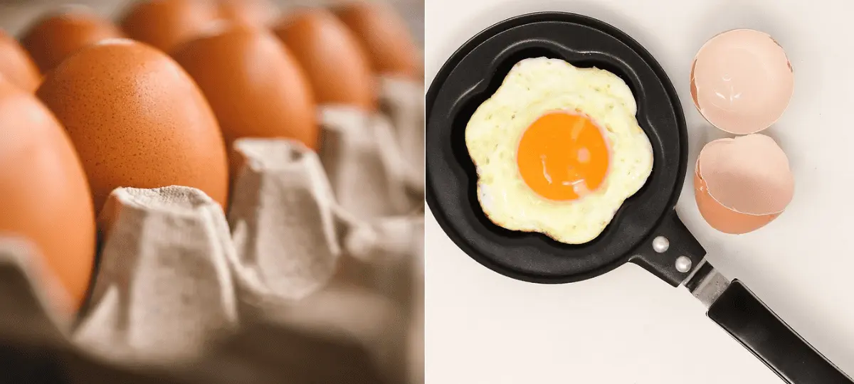 vajíčka, varené vajcia