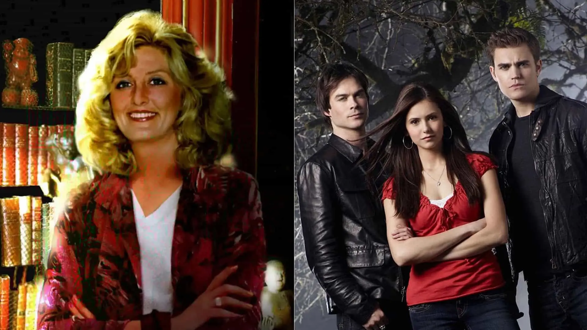 L. J. Smithová Upírske denníky