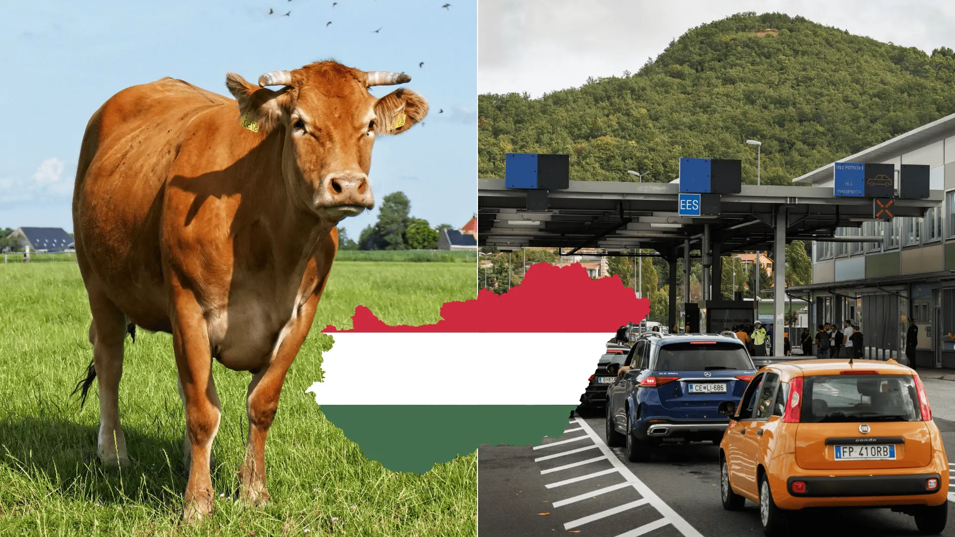maďarsko slintačka hranice