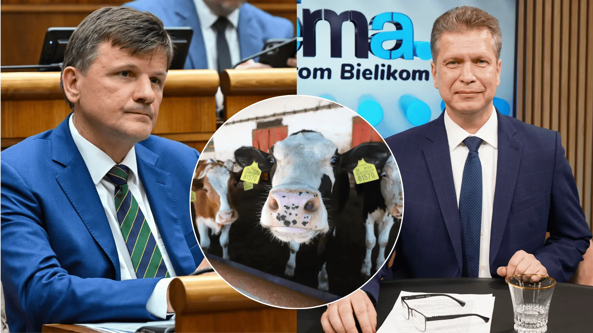 hlina SLaK bielik