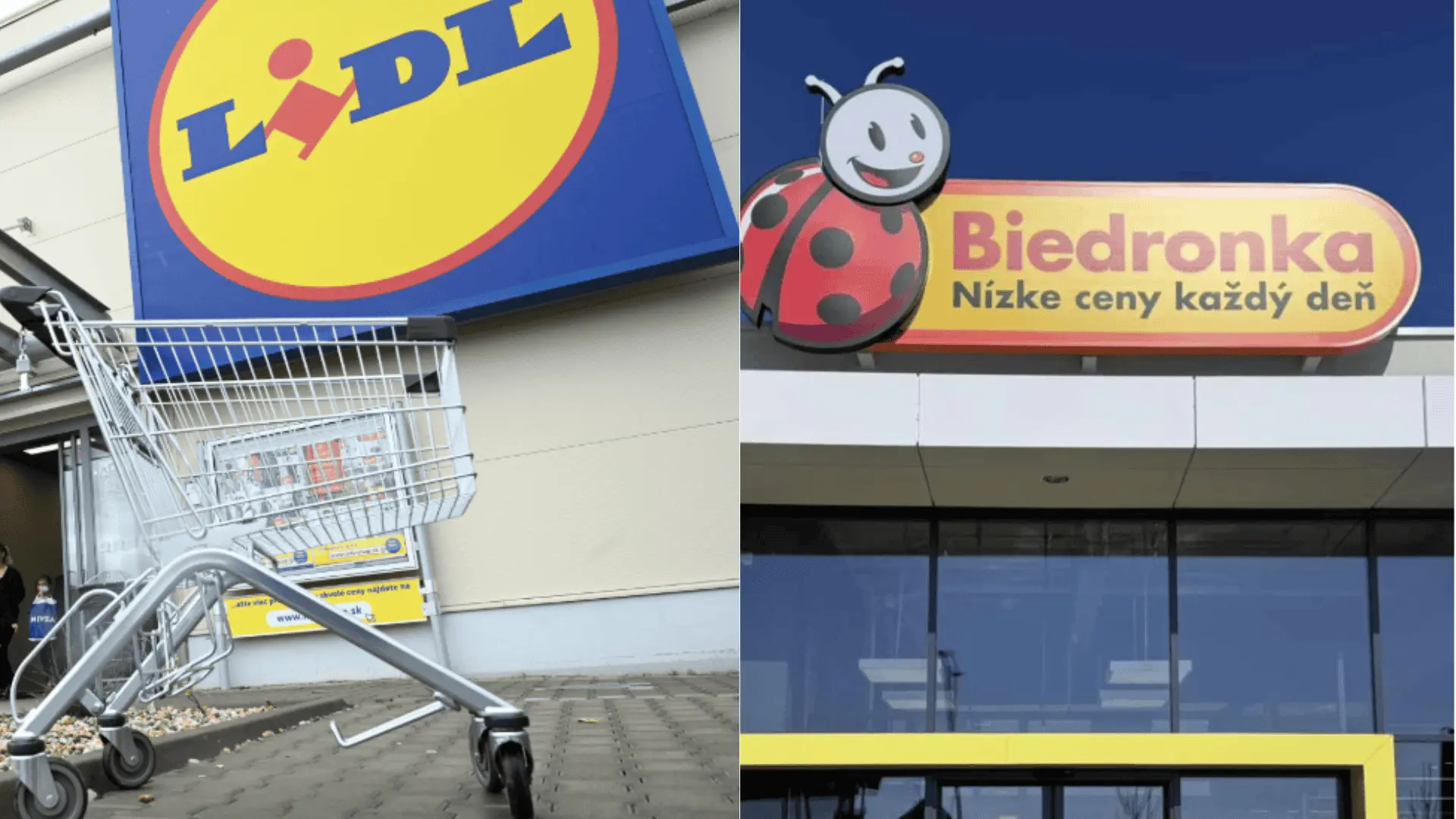 lidl, biedronka
