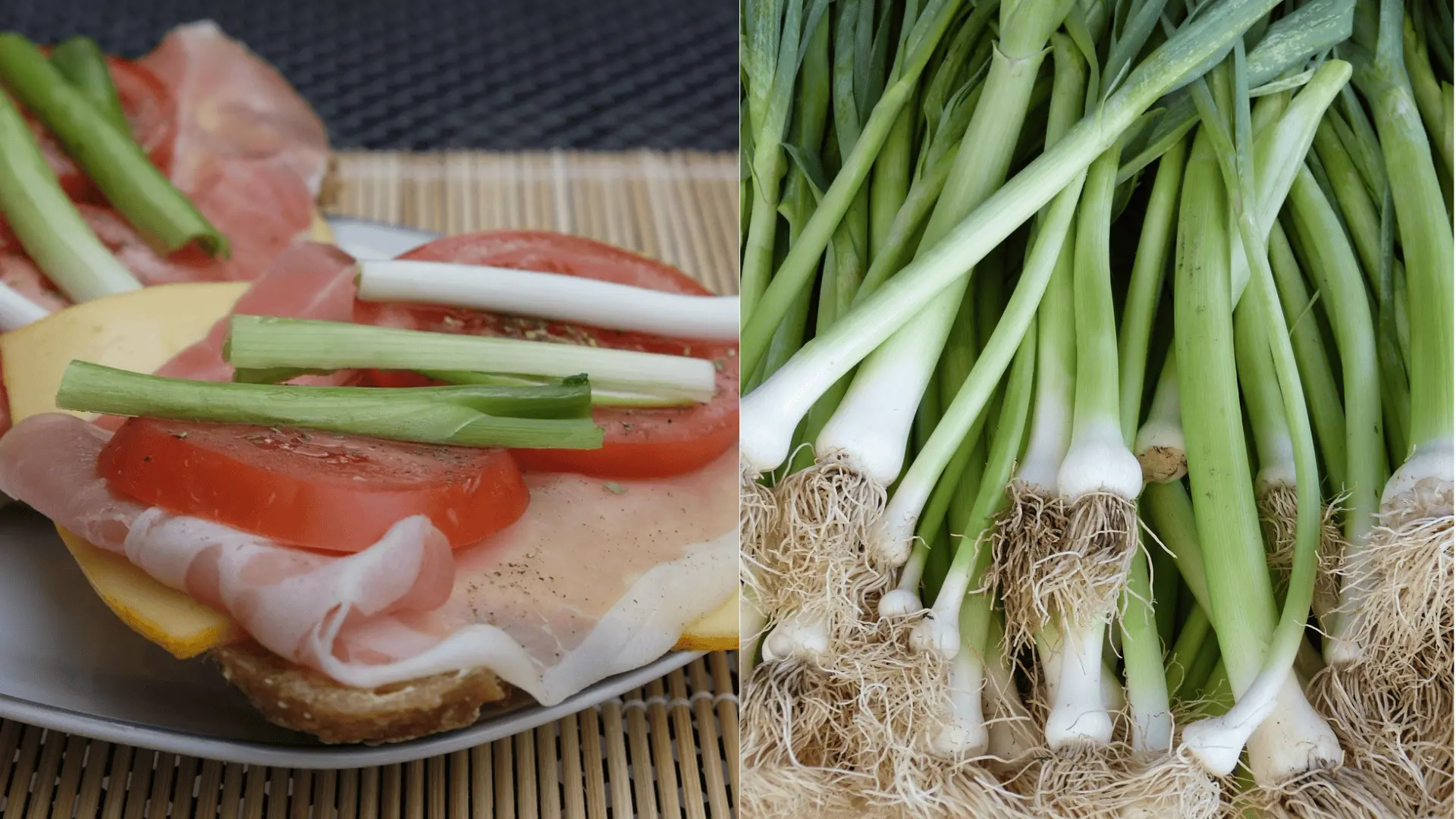 jarná cibuľka, jedlo