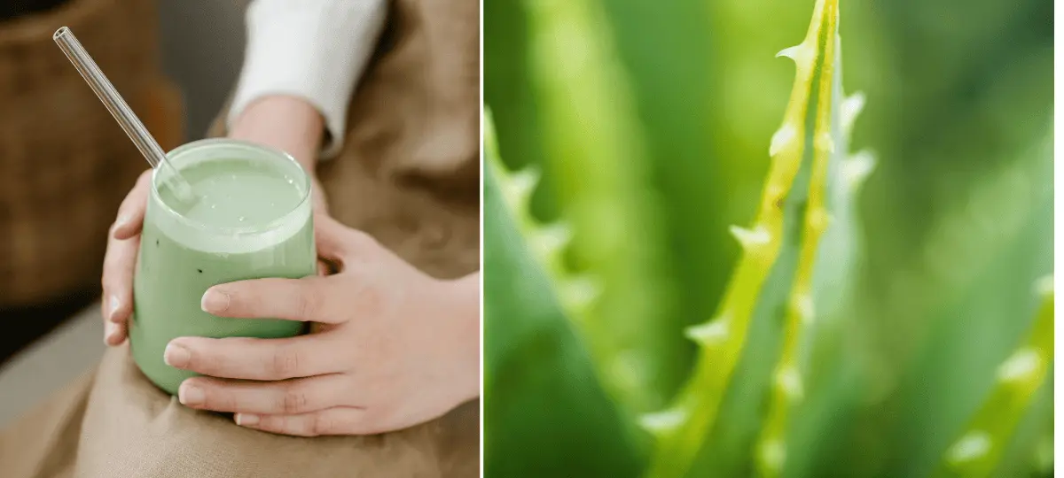 aloe vera, šťava