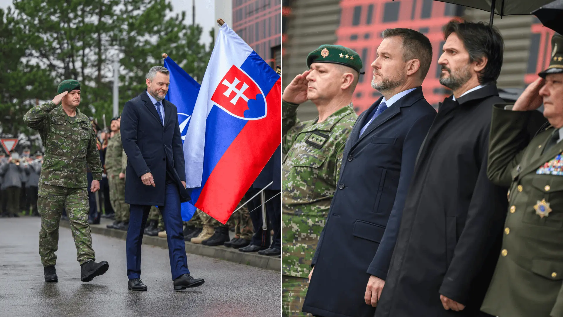 pellegrini nato