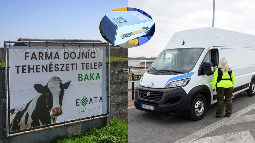 pošta ochorenie slintačka krívačka