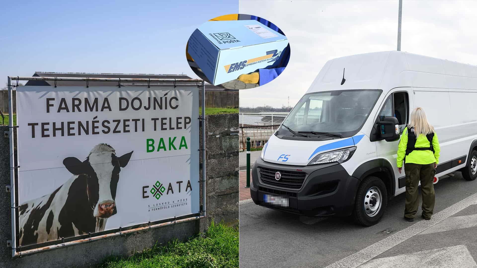 pošta ochorenie slintačka krívačka