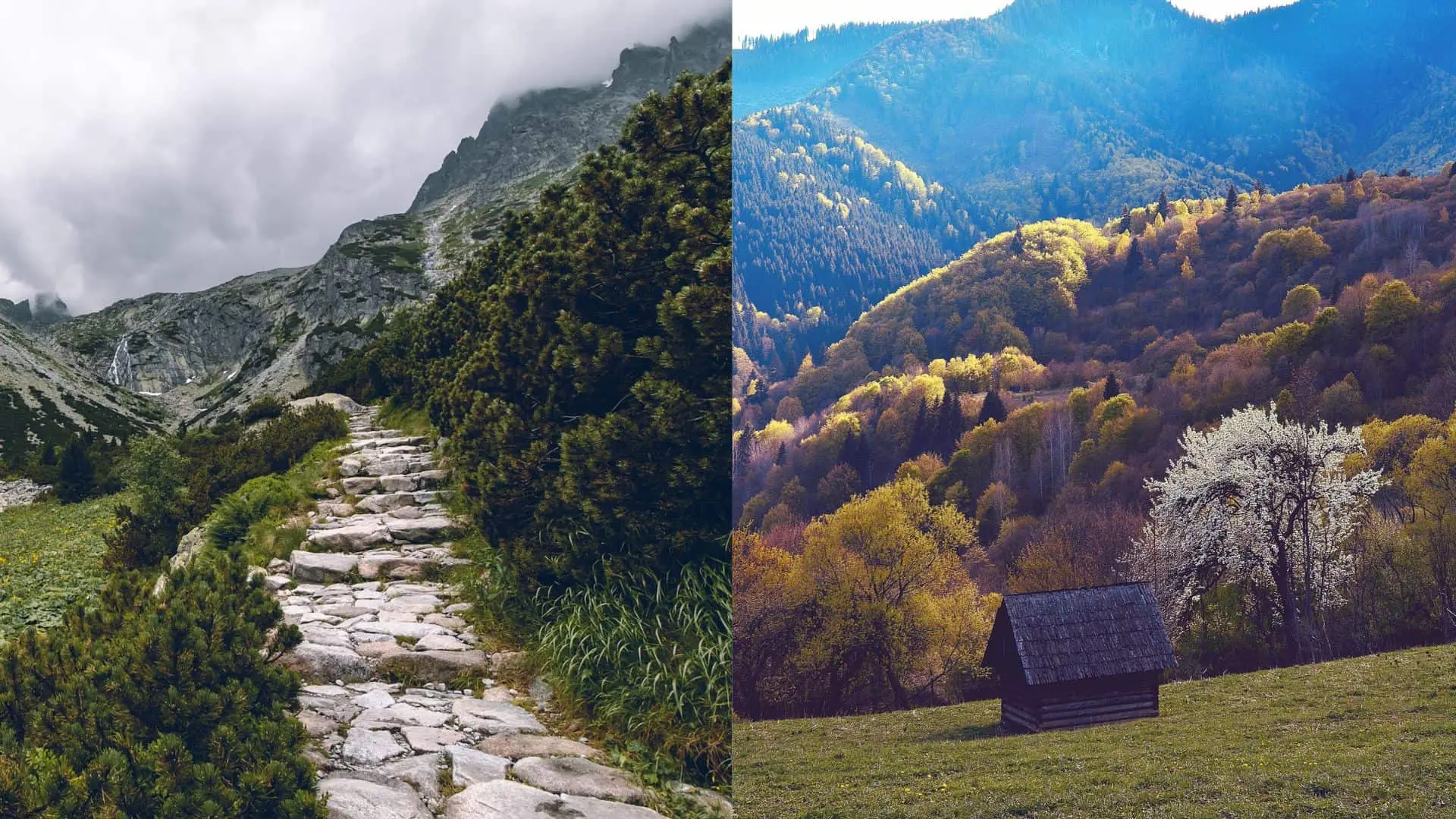 slovensko-fico-kaliňák