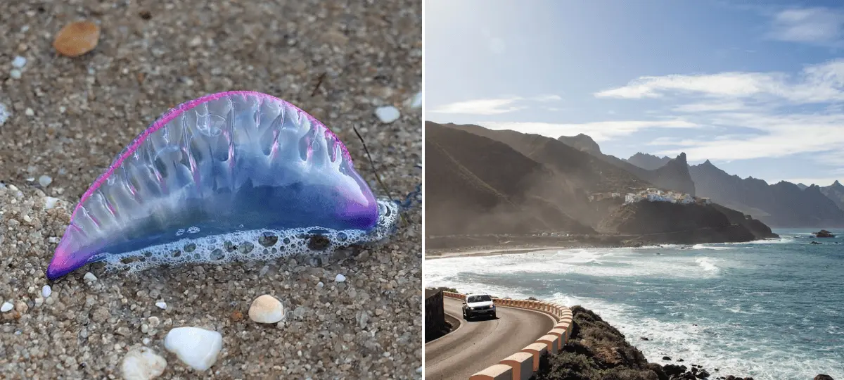 tentenerife-mechúrovkaerife