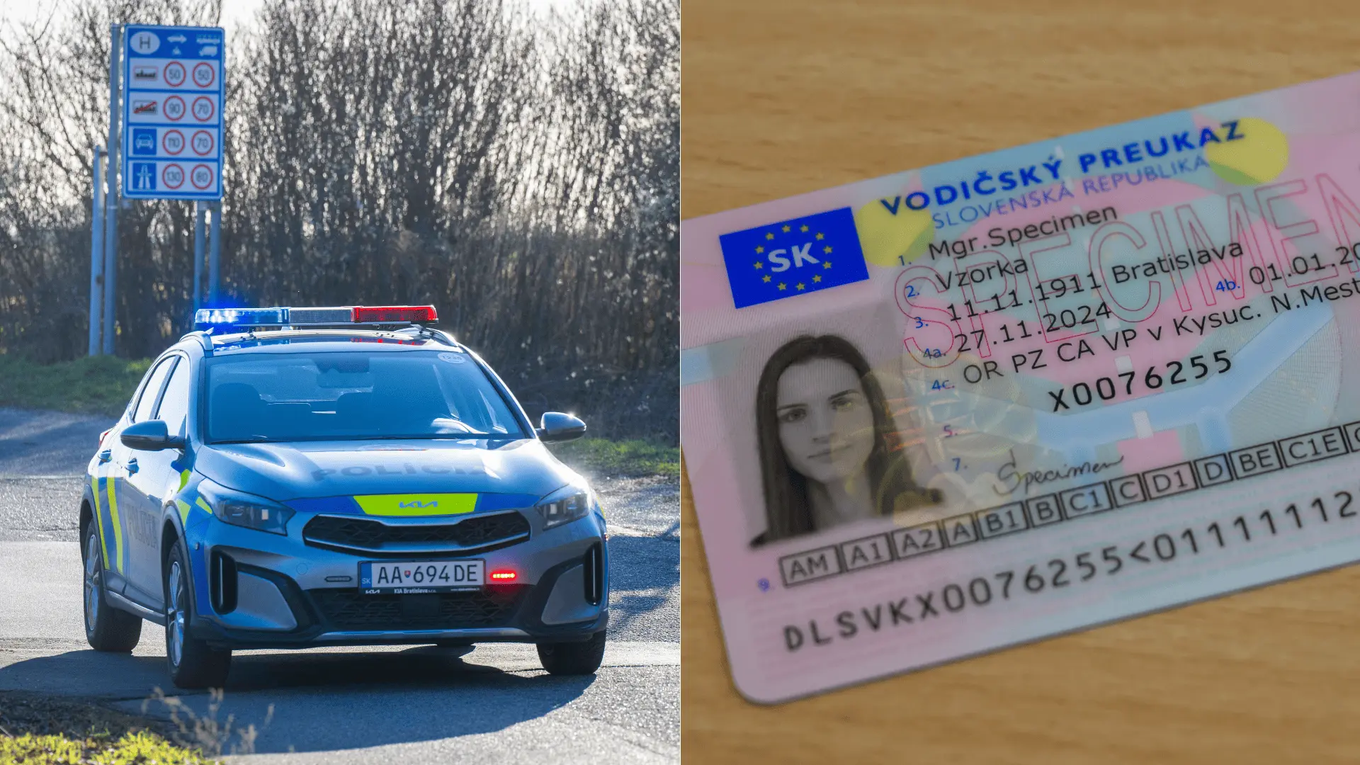 Za čo možu zobrat vodičsky