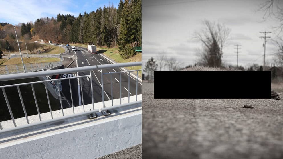 zviera na ceste Donovaly