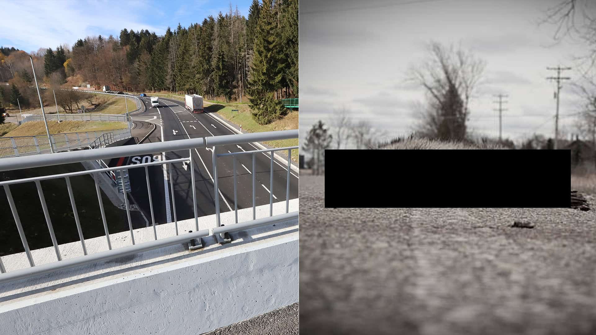 zviera na ceste Donovaly