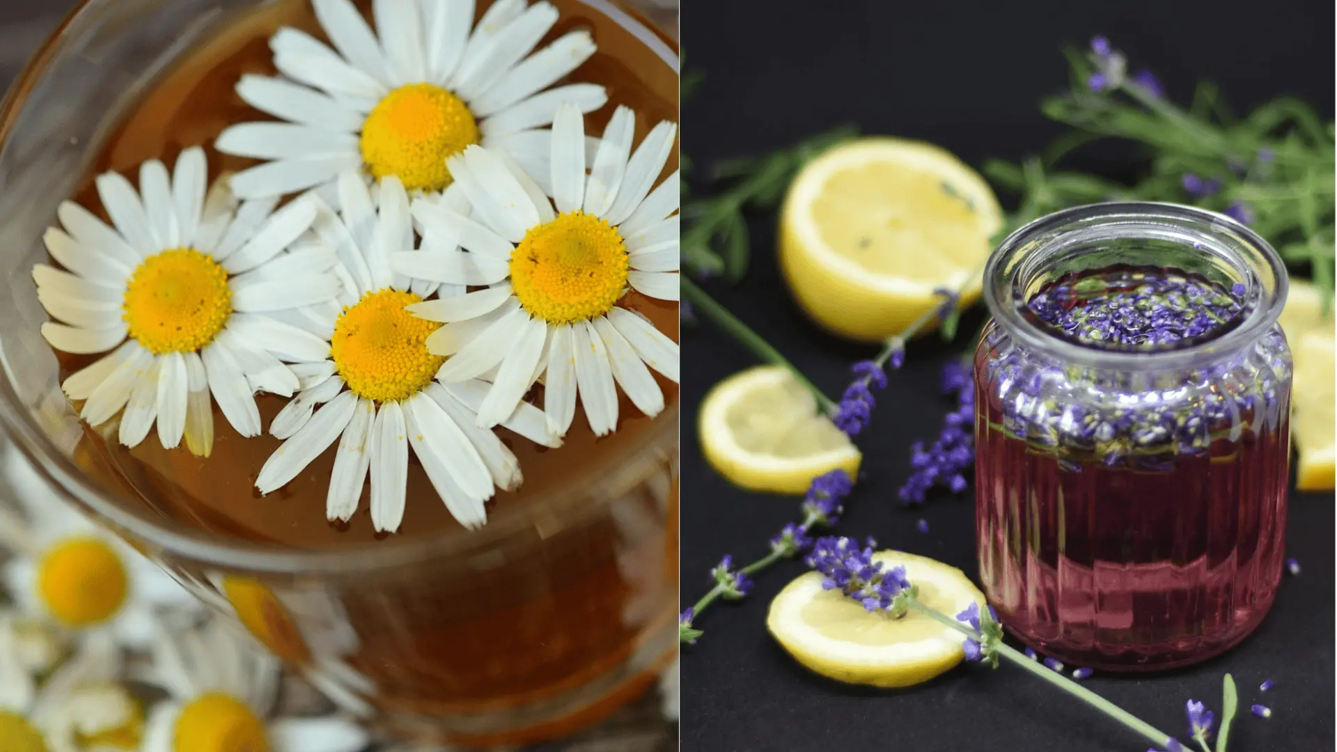 harmanček-levanduľa