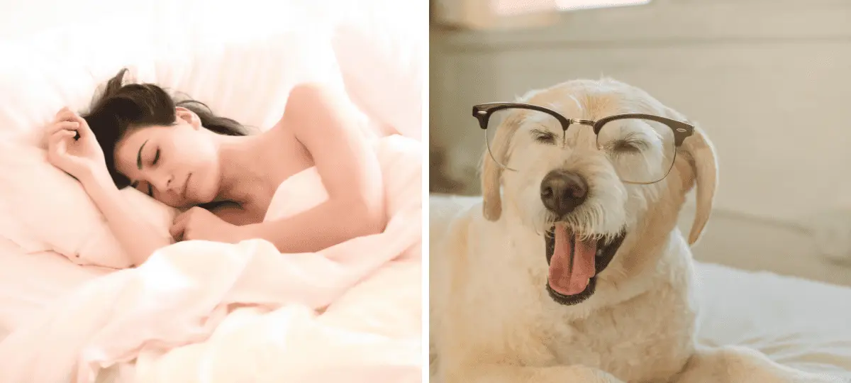 spánok, tipy, zívanie