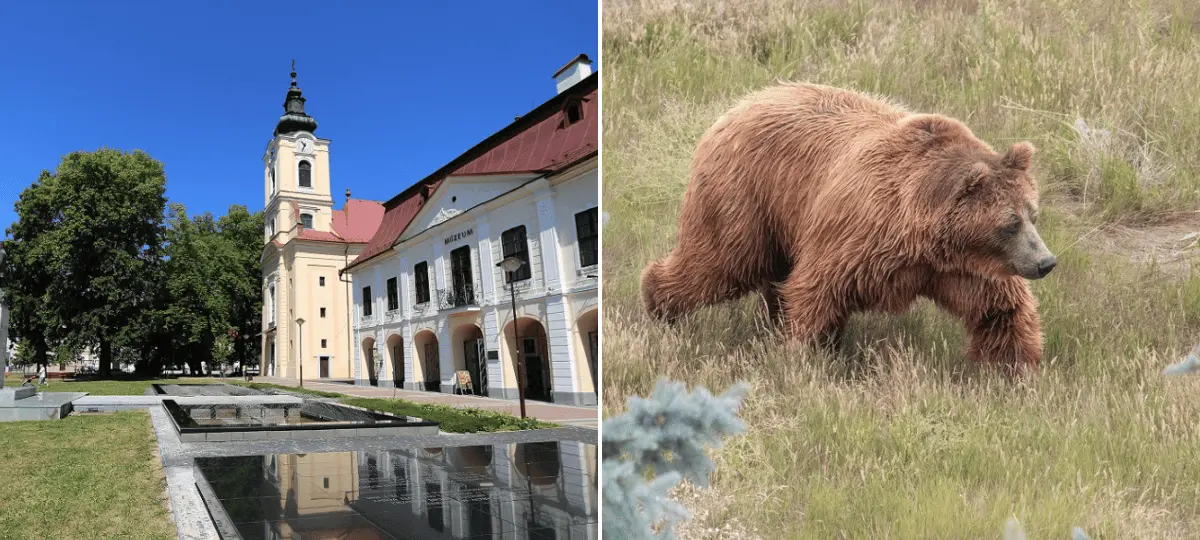brezno-medveď