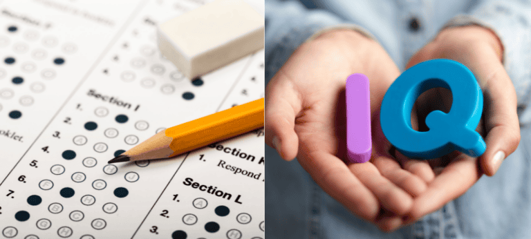 iq test