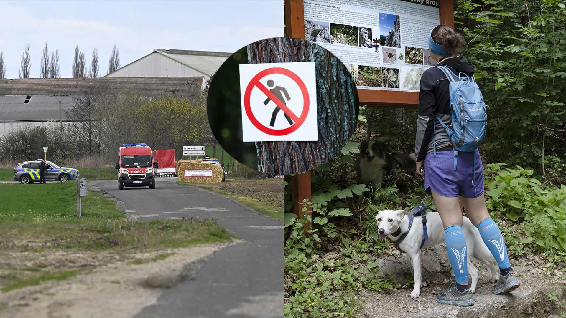 les zákaz vstupu