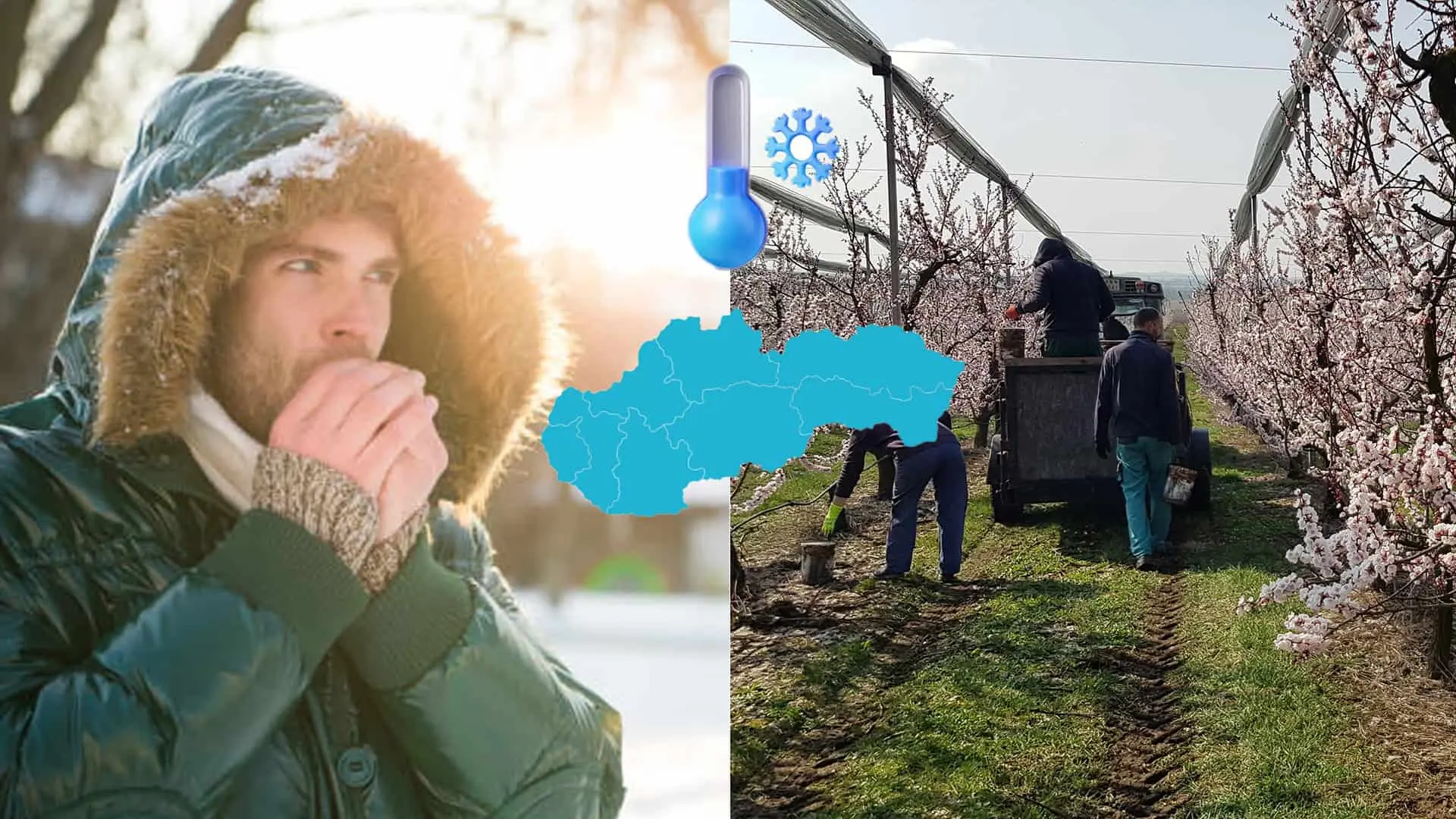 počasie zima mráz