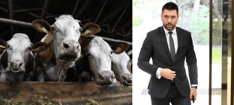 slak-slintačka-takáč