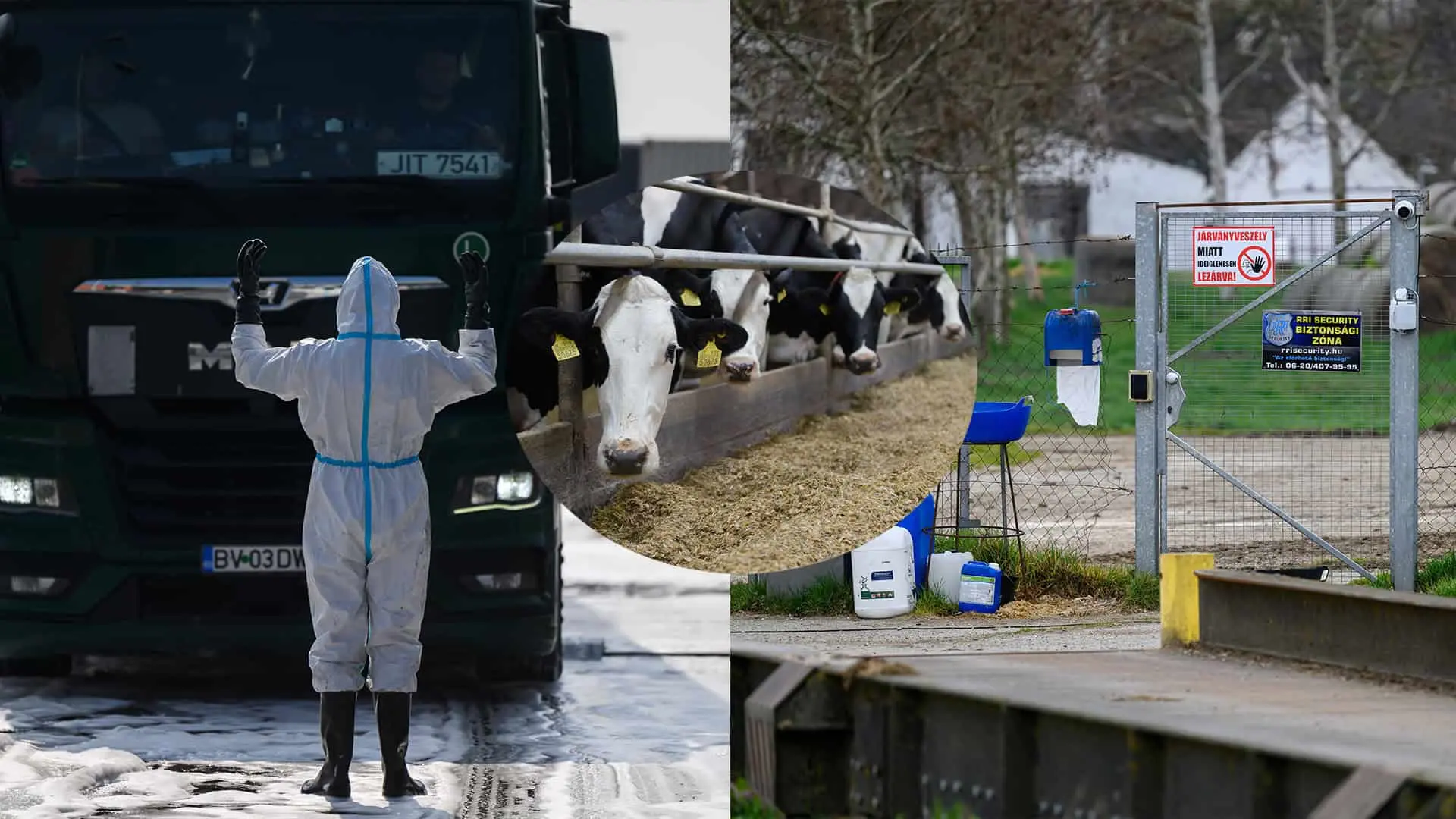 slintačka krívačka opatrenia
