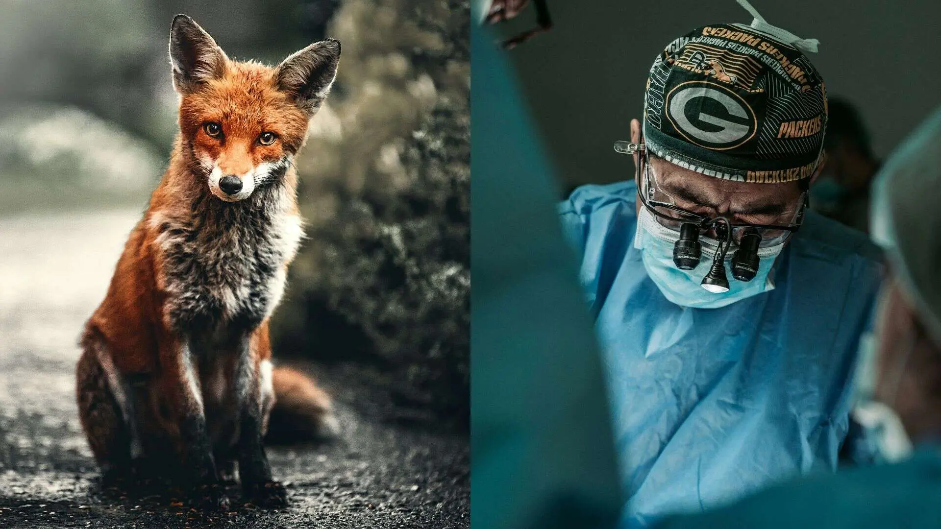 Lucia začala mať viaceré zdravotné problémy