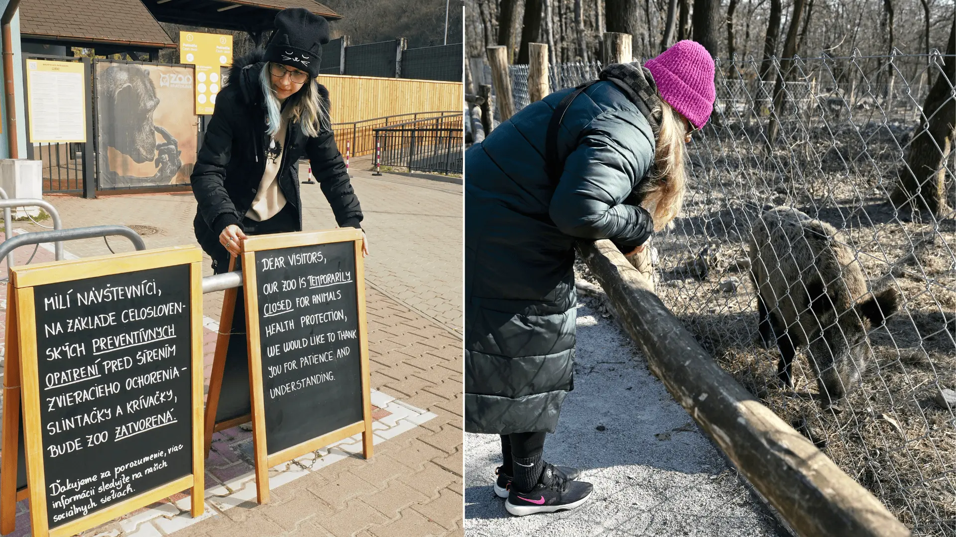 zoo nákaza