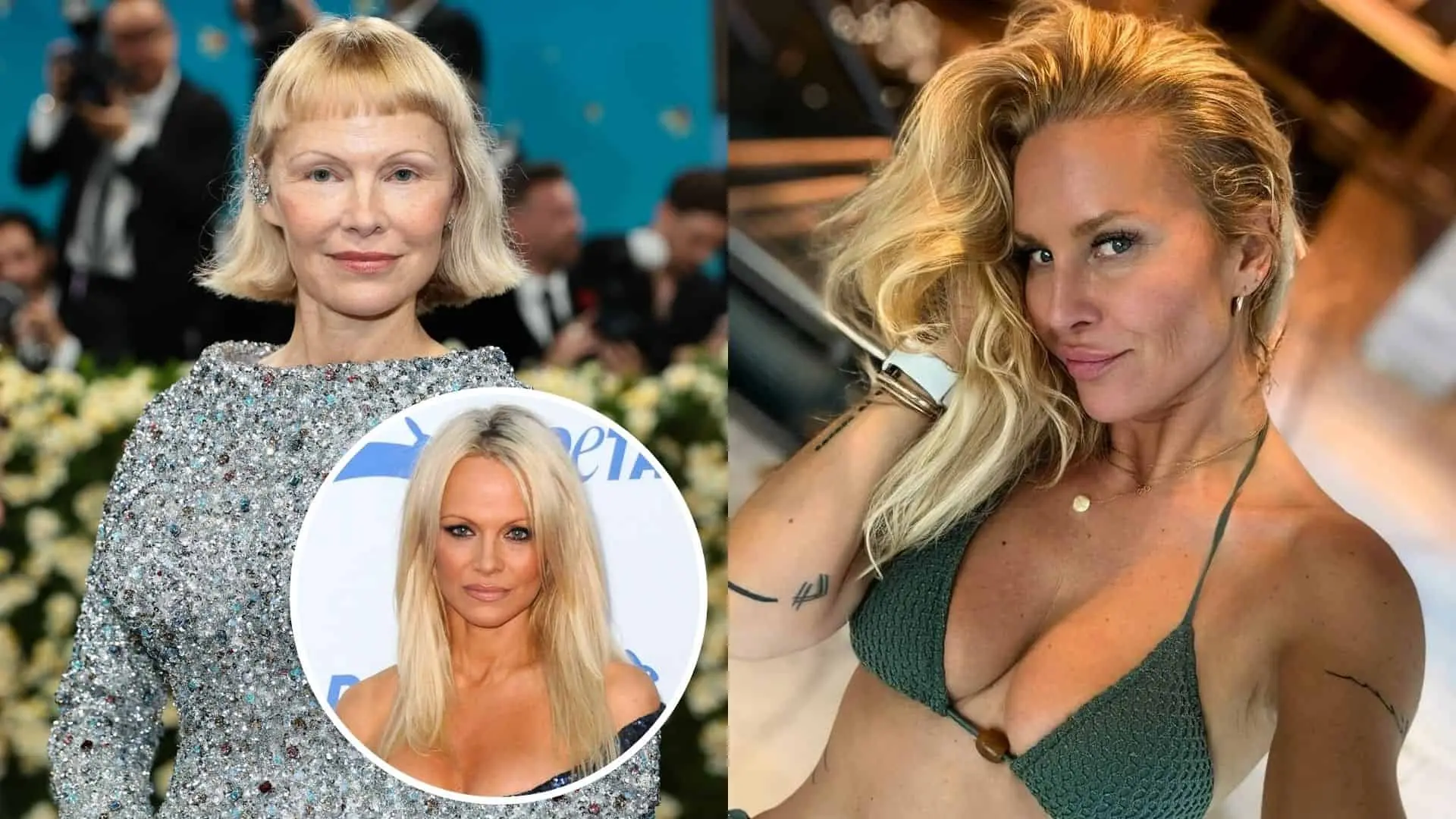 Playmate Pamela Anderson sa stala terčom kritiky českej modelky Simony Krainovej