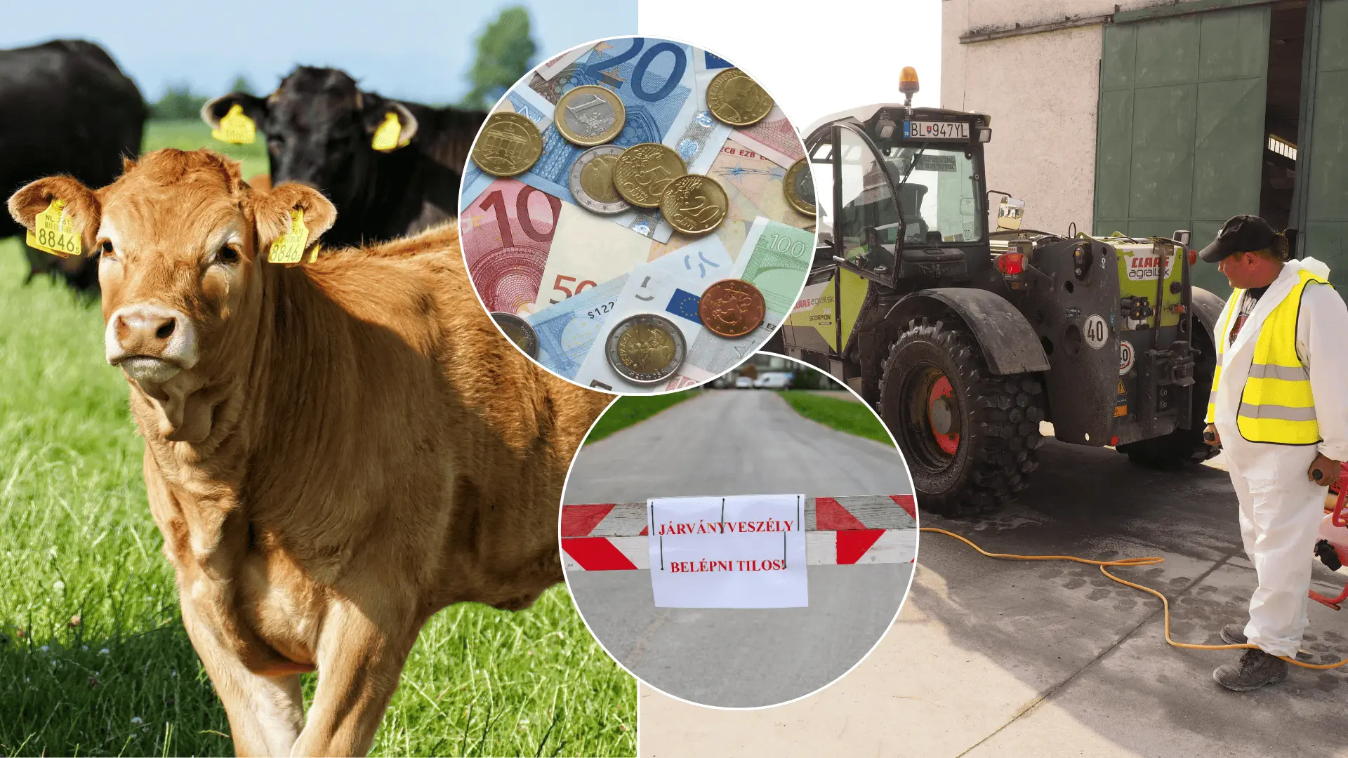 slintačka a krivačka kompenzacia