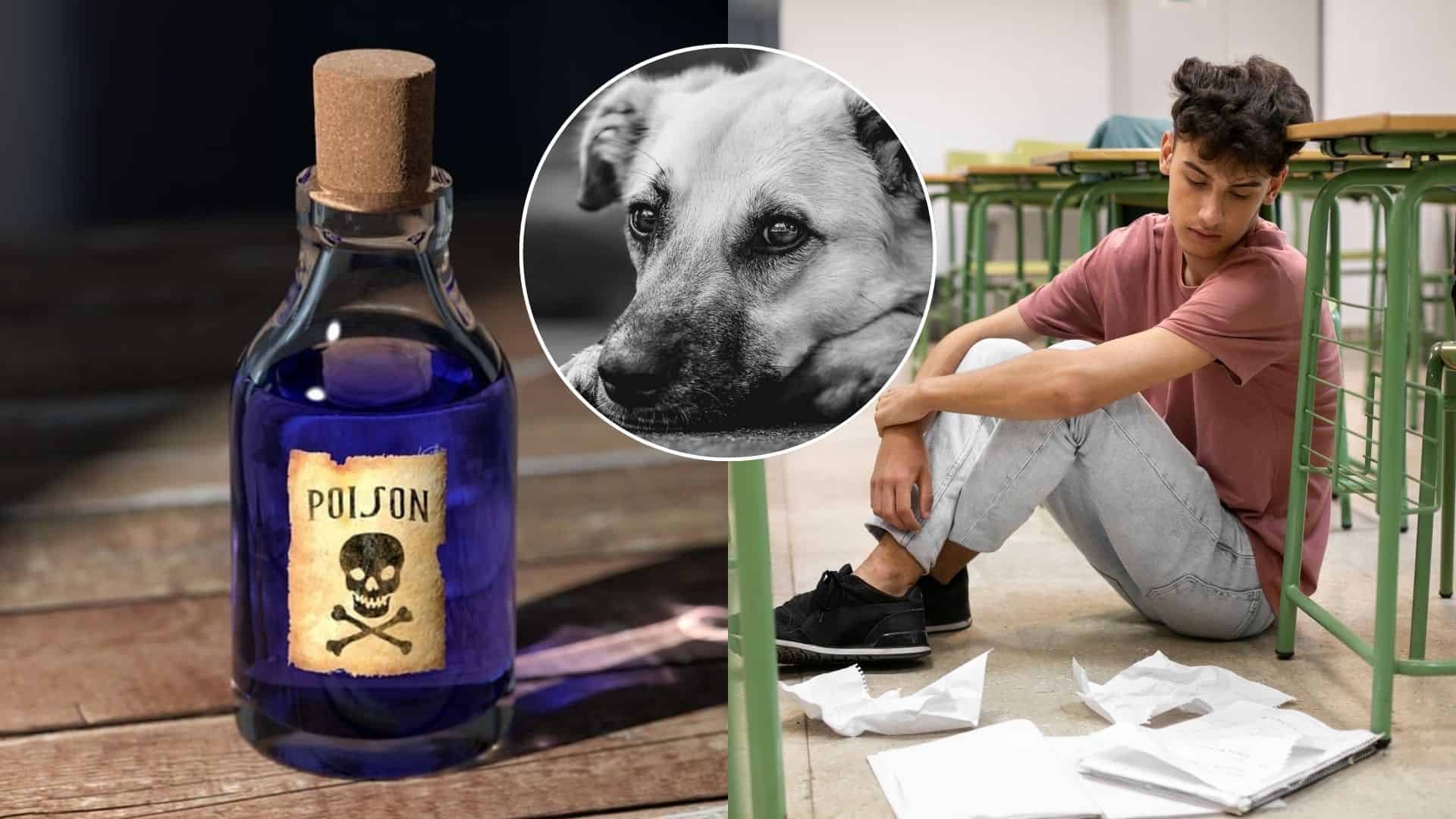 Žiak sa kruto pomstil učiteľke.
