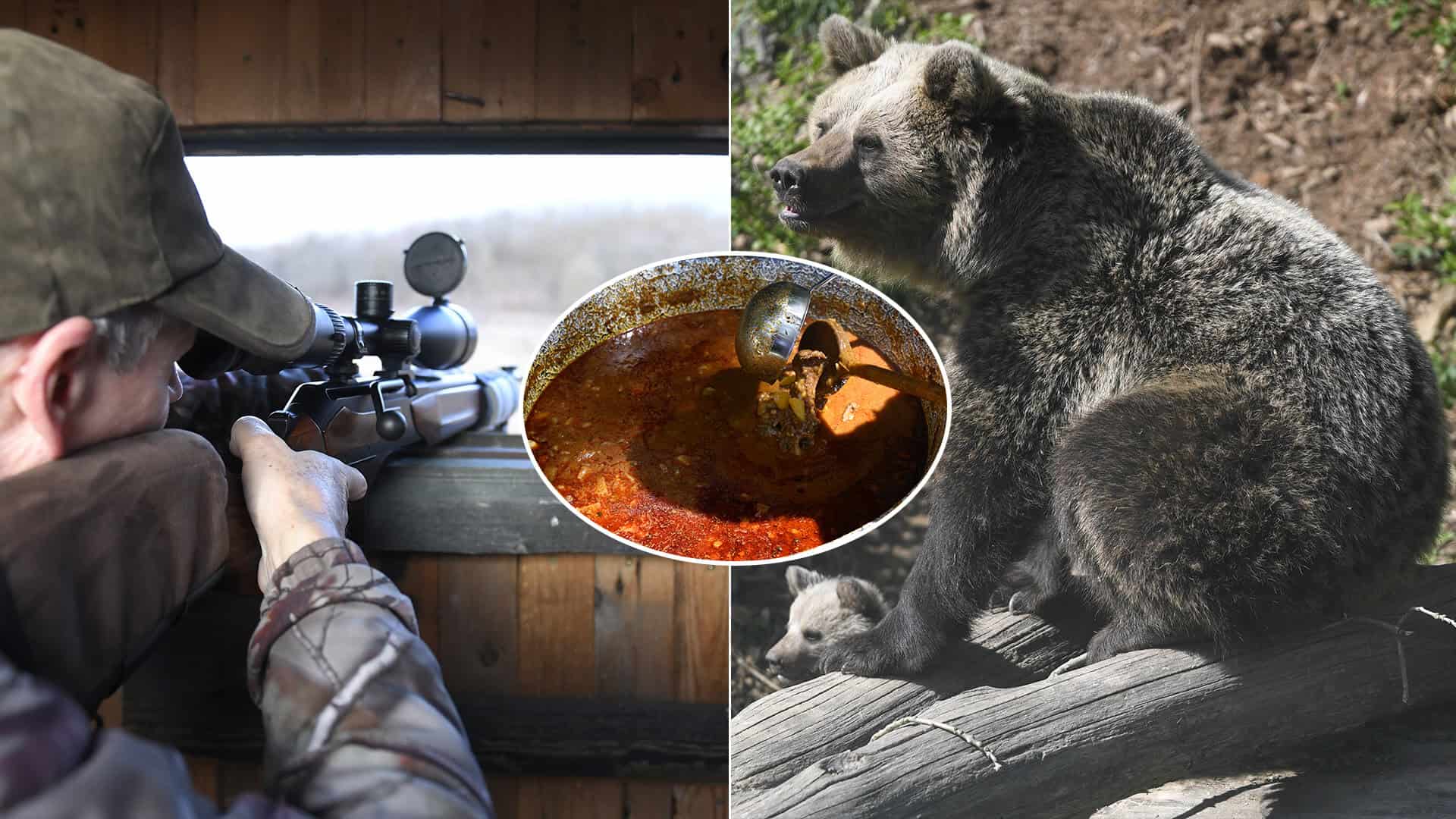 medveď poľovník guláš