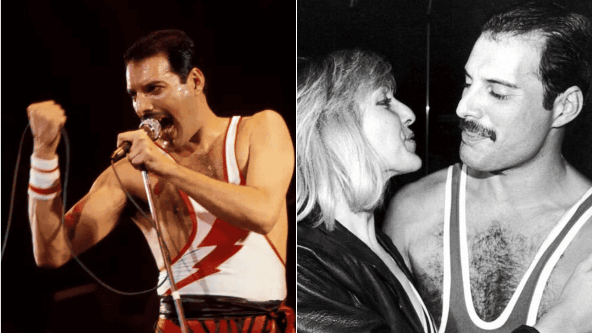 freddie-mercury