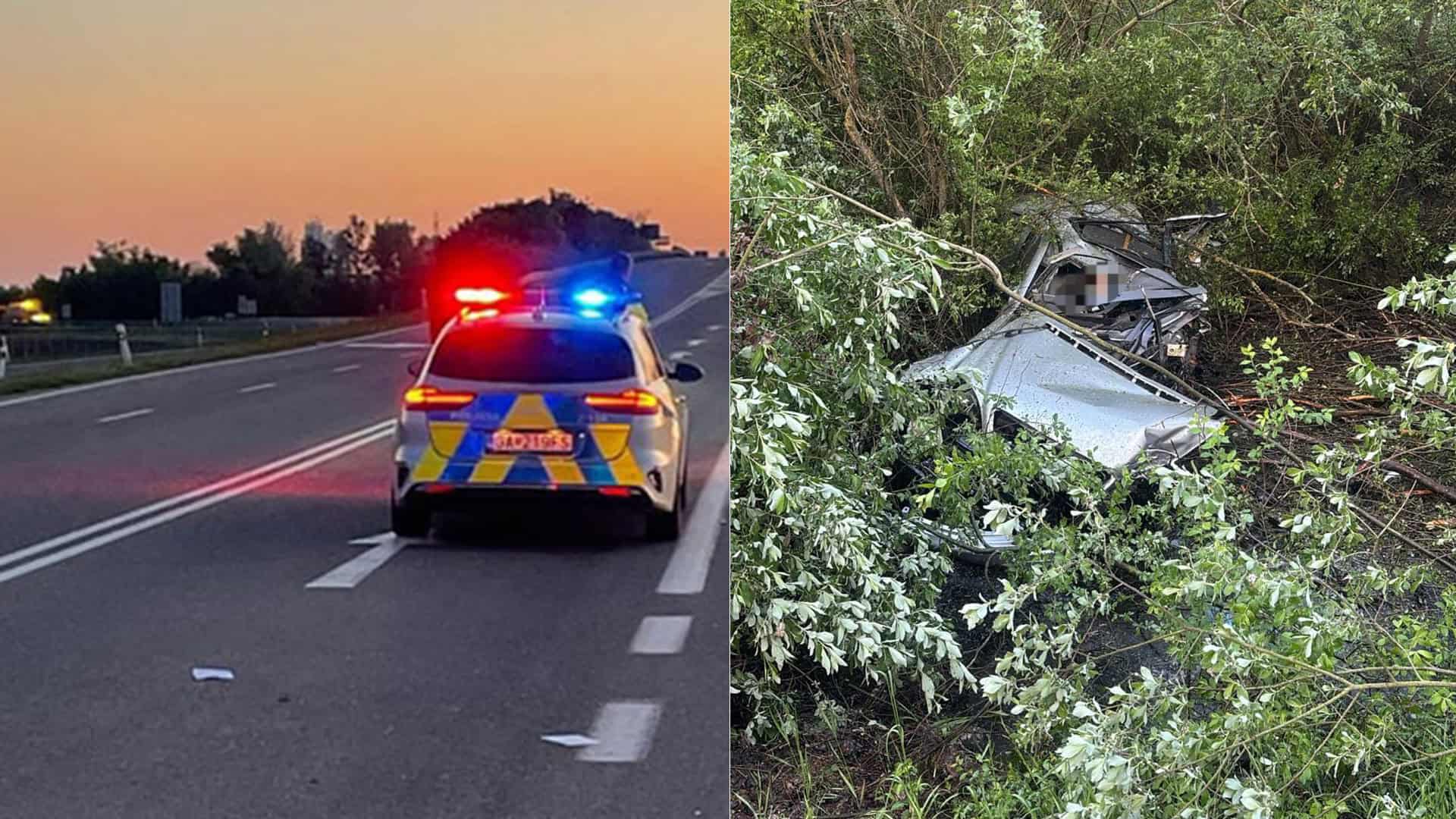 nehoda vodič auto
