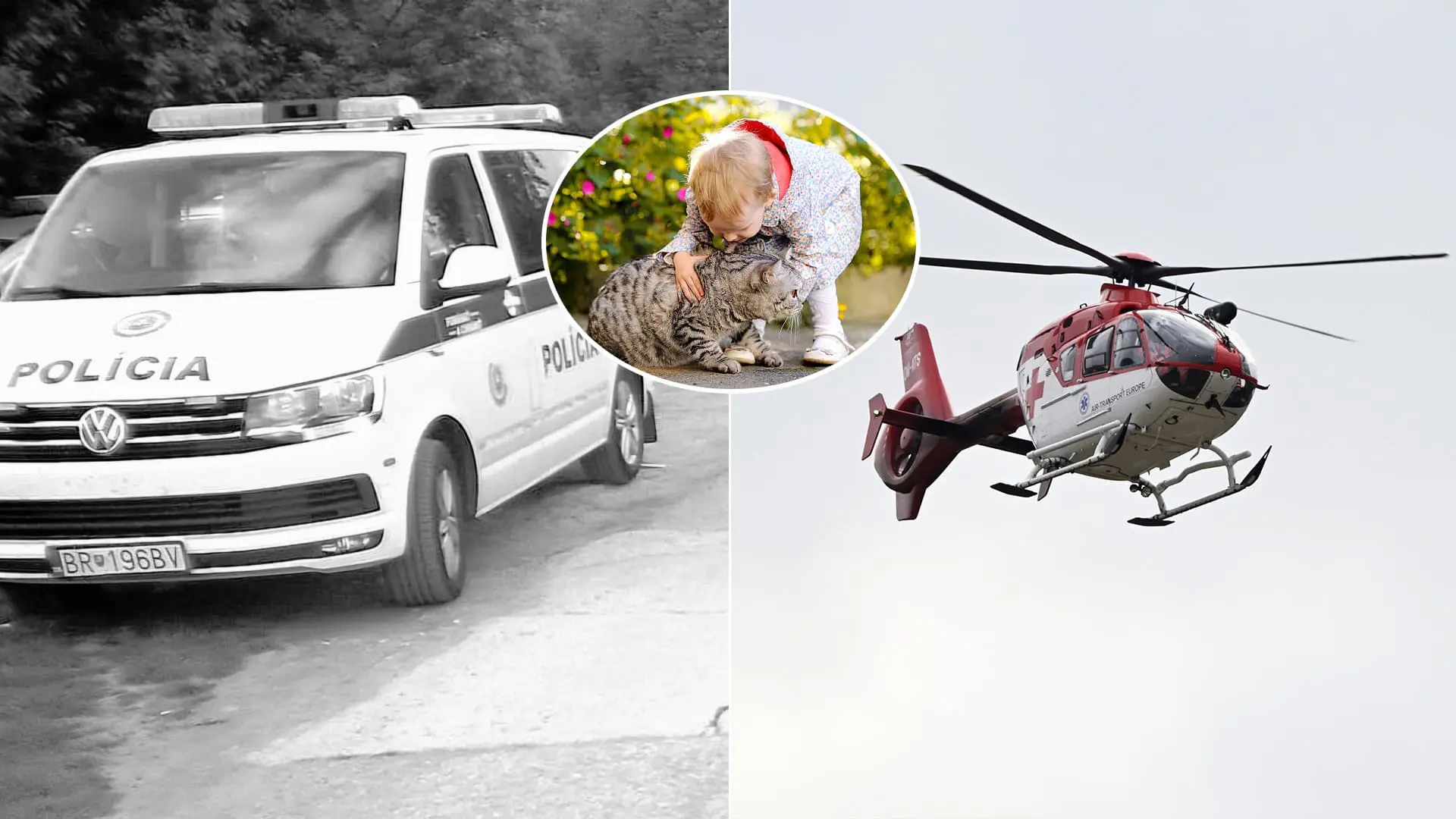 polícia dieťa mačka nehoda