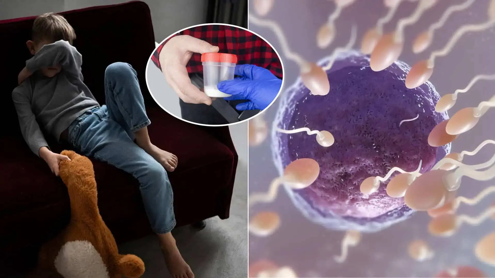 spermie darca dieťa